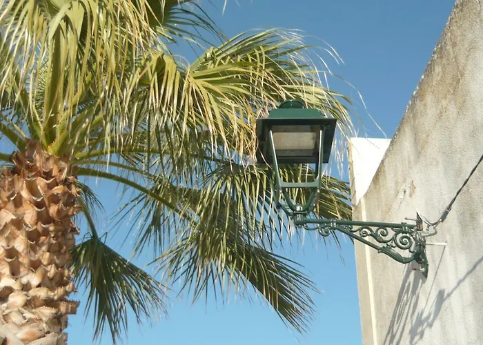 Casa Do Gato